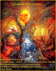 10153798_287035158130079_5290976549178807163_n